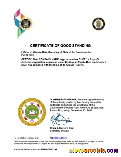 Puerto Rico certificate of good standing